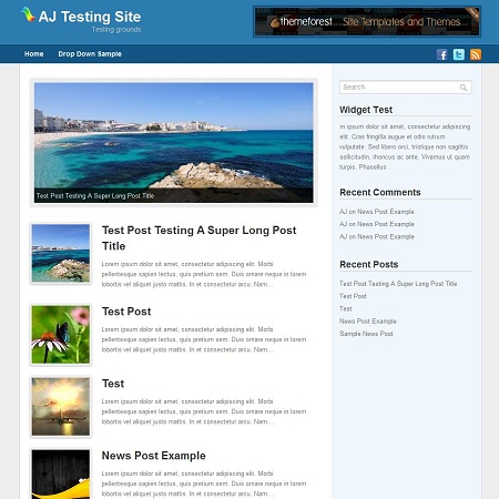 daily-wordpress-theme