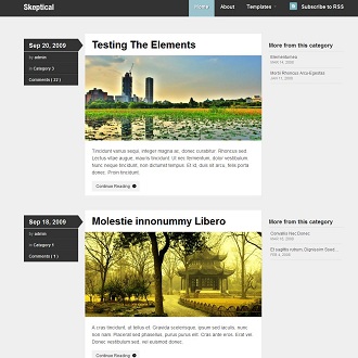 skeptical-free-wordpress-theme