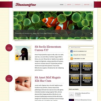 titaniumifize-free-wordpress-theme